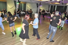 DSC0247