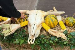 1e9acbcb-ad4f-4158-938d-2942eb1ada47